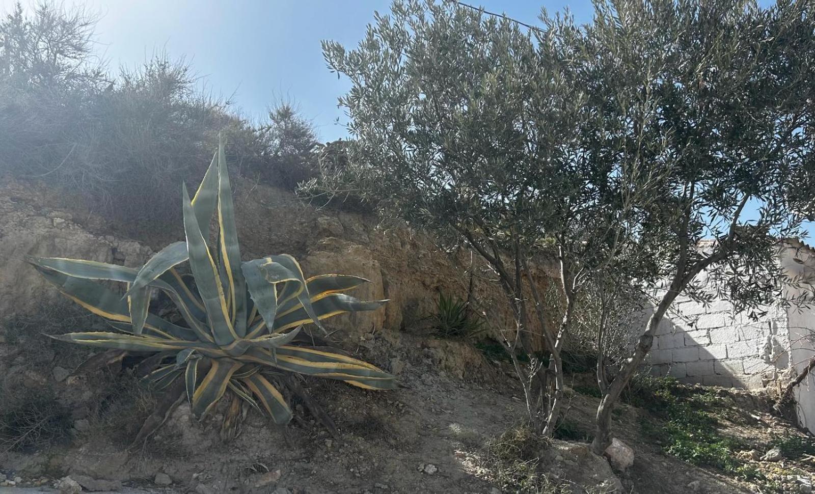 The Crystal Cave Villa Zújar Exteriör bild
